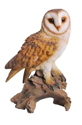 Vivid Arts - Plant Pals Barn Owl Home Or Garden Decoration (PLP-106) • £12.99