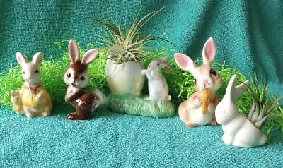 Lot Of 5 MID CENTURY BUNNY RABBITS For AIR PLANT NURSERY EASTER SPRING DECOR • $24.99