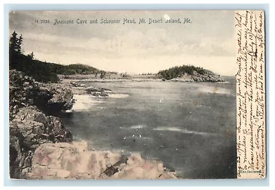 1906 Anemone Cave And Schooner Head Mt. Desert Island Maine ME Antique Postcard • $14.98