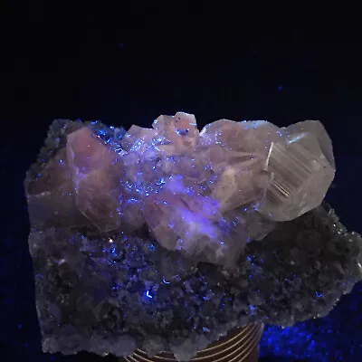 403g   Transparent Bright  Mercedes  Calcite Crystal Cluster Mineral Specimen • $18