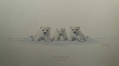 £19.95 • Buy Ready Steady Go By Warwick Higgs Polar Bear Cubs