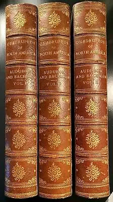 Audubon Quadrupeds Of North America Three Volume Set • $16000