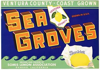 Original Crate Label Vintage Oxnard Sea Groves Somis Ventura County Map C1930s  • $19.95