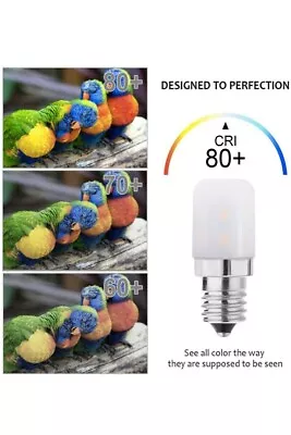 💥E12 LED Bulb 120V 2W CW Bulb Equivalent To E12 Halogen Warm White 2-pack💥 • $19.80