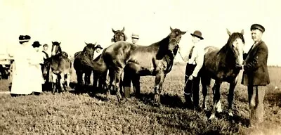 1907 RPPC Real Photo Mora Minnesota People Gathering  Together With Horses  (A8) • $34.50