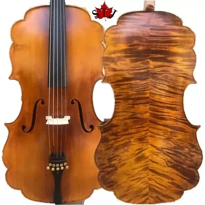 Barouqe Style SONG Brand Maestro 1724 Yo-Yo Ma Sleeping 5strings Cello 4/4#15047 • $1439.10