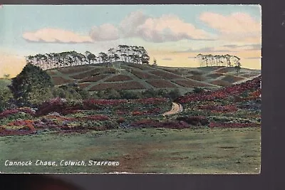 £4.99 • Buy Cannock Chase Colwich Stafford C1920 Postcard WHS Greengate