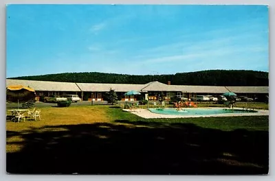 OWEGO NEW YORK NY Sunrise Motel Swimming Pool Vintage Furniture Cars Postcard • $5.99