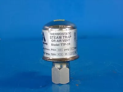 Armstrong TTF-1 R A Stainless Steam Trap Air Vent 300psi 3/4  Npt • $295