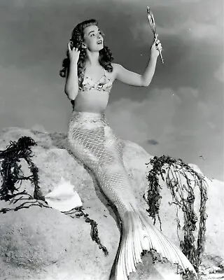 Ann Blyth Mr. Peabody And The Mermaid 8 X 10 Photo Print Hollywood Picture A897 • $6.89