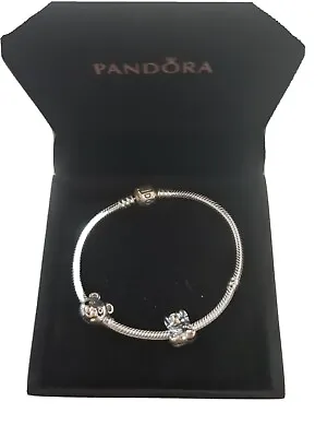 Pandora Bracelet With Charms • $80