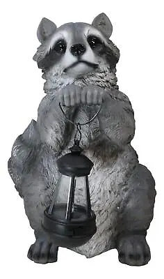 Ebros Night Bandit American Raccoon Statue Holding Solar Lantern LED Light 15 H • $79.95