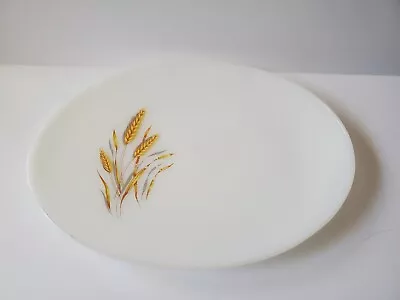 Fire-King Golden Wheat Oval Milk Glass Serving Platter 12  X 9  1960's MCM • $9.99