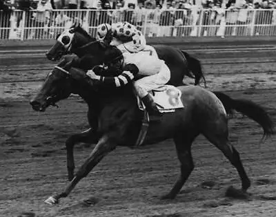 Round Table #2 Racehorse Vintage Kentucky Derby Photo Poster Print Imagekind • £36.67