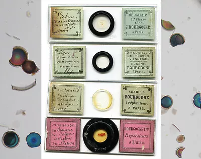 Bourgogne - Joseph Eugene Charles & Freres 4 Microscope Slides • $9.95