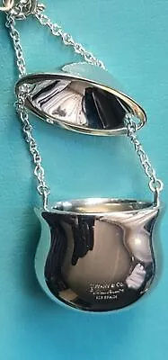 Tiffany & Co Elsa Peretti Sterling Silver Inro Bottle Necklace Pendant 24  • $299