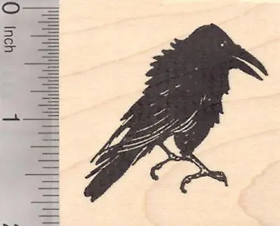 Raven Bird Rubber Stamp Black Crow H18907 WM • $18