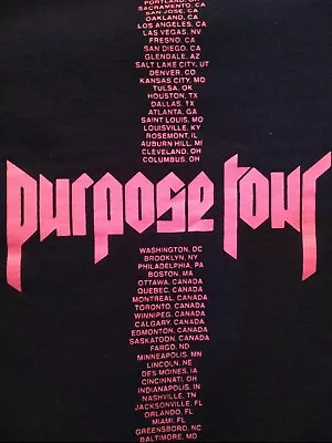 Justin Bieber Purpose World Concert Tour 2016 Sweatshirt Large Women's H&M CL • $24.99