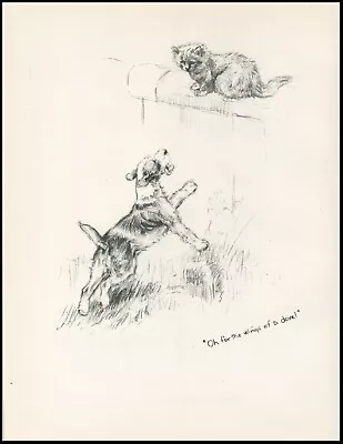 WIRE FOX TERRIER & CAT LOVELY VINTAGE 1933 DOG SKETCH PRINT By K F BARKER • £8.99