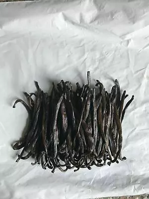 60 Madagascar Grade B Extract Grade Bourbon Vanilla Beans [3-4 Inches] • $36.99