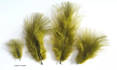 Marabou Feathers 7 Grams Small 1-3  Fluffs OLIVE GREEN Approx. 105 Per Bag • $2.65