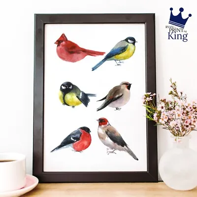 Birds Robin Watercolour Effect Art A4 Print. Home Decor Traditional Retro • $7.46