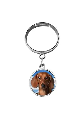 Dachshund Puppy Codey21 DOME On A Adjustable Dangle Ring Jewellery Gift Handmade • $11.08