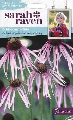 Echinacea Pallida  50 Fresh Seeds    Echinacea Seeds    Flower Seeds • £3.65