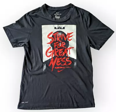 £19.99 • Buy LeBron James NIKE T Shirt Dri Fit Strive For Greatness Mens Rare SIZE M Chest 38