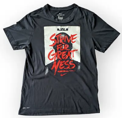 NIKE LeBron James T Shirt Men's Strive For Greatness  SIZE Med - Chest 38 • £12.50