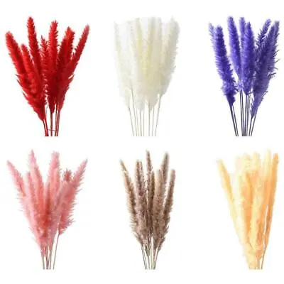 10 X Natural Dried Pampas Grass Reed Flower Bunch Bouquet Decor New Home W 5F7S • £2.41