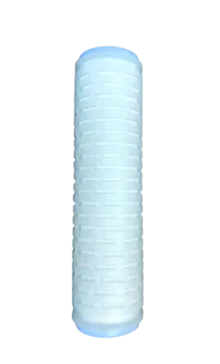 0.2 Micron Filter Submicron Pleated Polypropylene 2-5/8  X 9-7/8   PG002-10 • $26.75