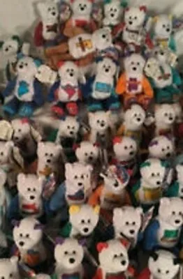 AVS State Quarter Plush Teddy Bear Lot Your Choice • $8.95