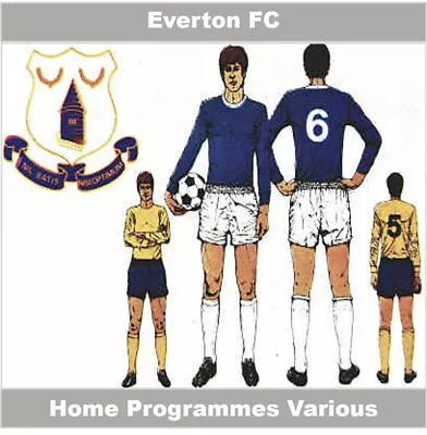 Programme Everton Football Club Goodison Park Home Programmes - Various Choice • £55