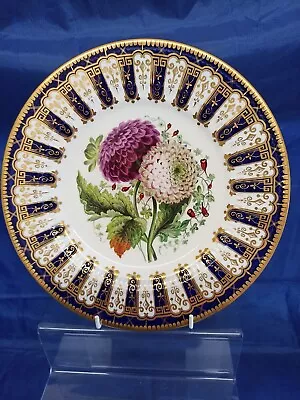 £40 • Buy Stunning Minton Porcelain Hand Painted Cabinet Plate C 1830