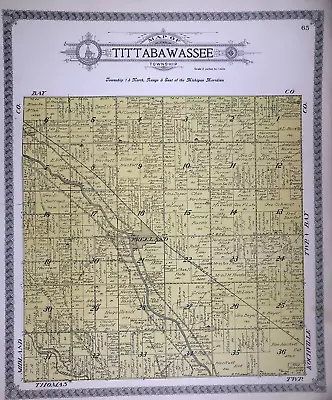 1916 Plat Map ~ TITTABAWASSEE Twp. SAGINAW Co. MICHIGAN (15x17) • $45.95