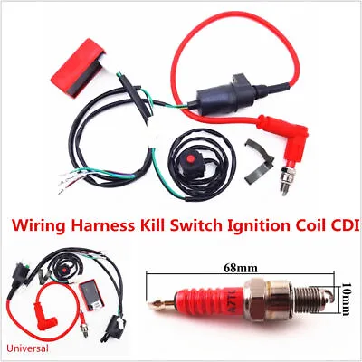 Dirt Pit Bike Wiring Loom Harness Kill Switch Ignition Coil CDI 50 110 140 150cc • $25.51