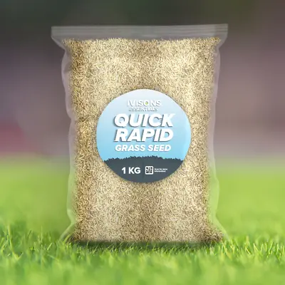 Super Fast Growing Grass Seed | Quick Rapid Lawn Repair & Growth | Pet-Friendly • £3.49