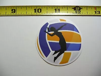 Color Volleyball Girl Woman Return Decal Sticker Game Athletic Sports Game • $2.64