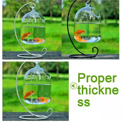 Hanging Glass Vase Plant Terrarium Home Decor Fish Tank Clear Container Planter • $13