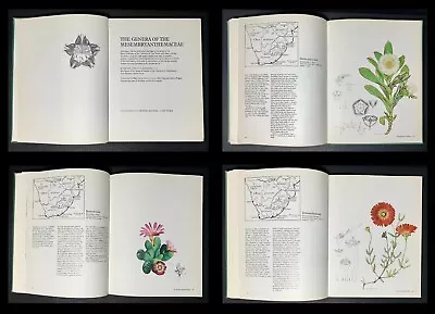 NATURAL HISTORY South African BOTANY Flowering Succulents VTG Book 1st Ed HCDJ • $125