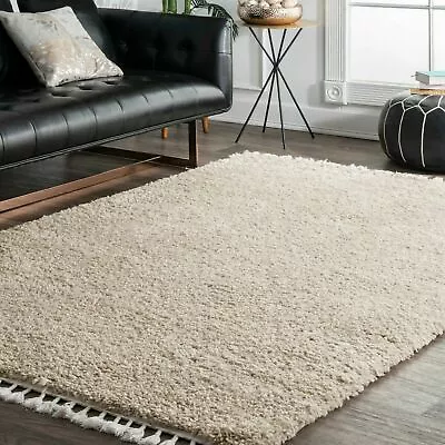 NuLOOM Neva Cozy Plush Shag With Tassels Area Rug In Beige Modern/Contemporary • $45.58