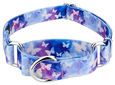 Country Brook Petz® Watercolor Butterflies Martingale Dog Collar • $12.97