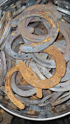 Used Steel Horseshoes Qty 36 Various Styles And Shapes And Sizes Rusty No Nails  • $39.99