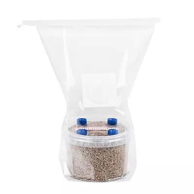 All In One Mushroom Grow Kit | Sterilized BRF Jar With Four Injection Ports • $29.99