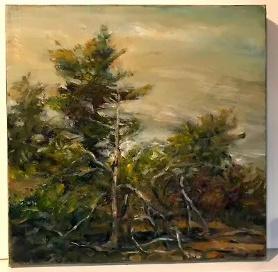 North Truro Cape Cod Beach Brambles 12x12 In. Oil On Canvas Hall Groat Sr. • $225