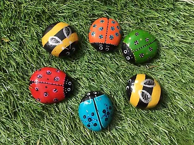 Hand Painted Pebbles Stones Set Of 6 Cute Ladybirds Bees🐞rainbow Garden Gift • £7