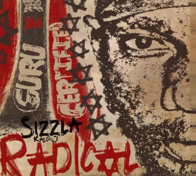 £11.61 • Buy Radical VINYL