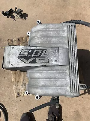 98-01 Ford Explorer 5.0L 302 V8 GT40 Upper Intake Manifold No EGR Port Mustang • $150