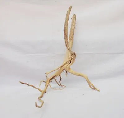 Aquascaping Natural Wild Driftwoods For Aquariums And Fish Tank Hardscapes • $80.99